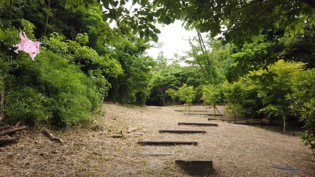 外から中に入ってくるダニの生息場所の種類