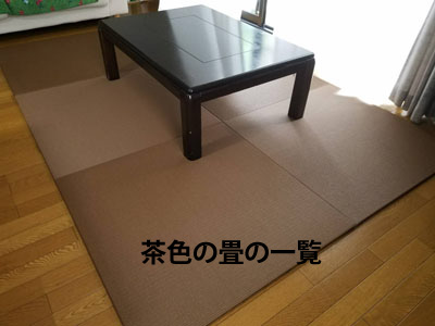 茶色の畳 サムネ